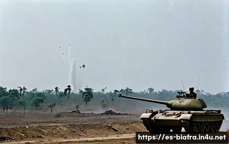 비아프라 전쟁 당시 사용된 무기 관련 이미지 2